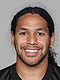 Troy Polamalu
