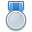 Silver Medal